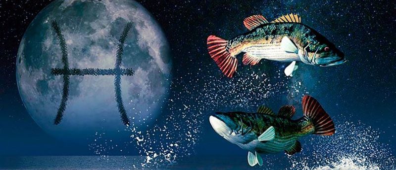 Рыбы мужчина — характеристика знака зодиака.