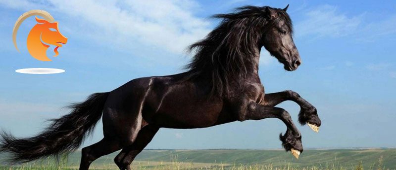 Козерог — Лошадь