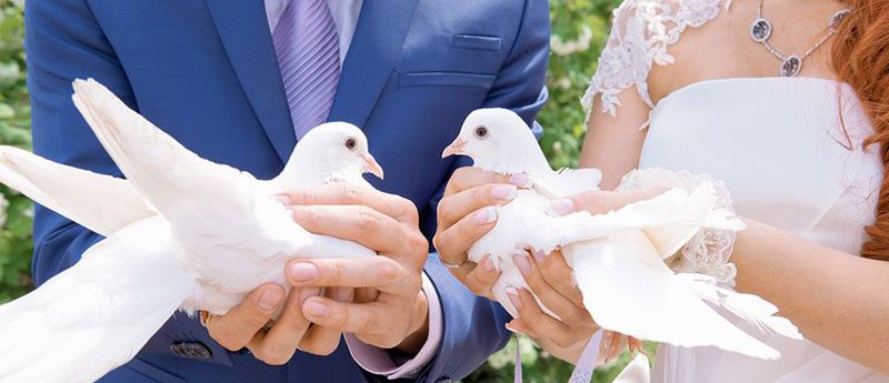 Приметы на свадьбу, или свадебные приметы которые должна знать невеста
